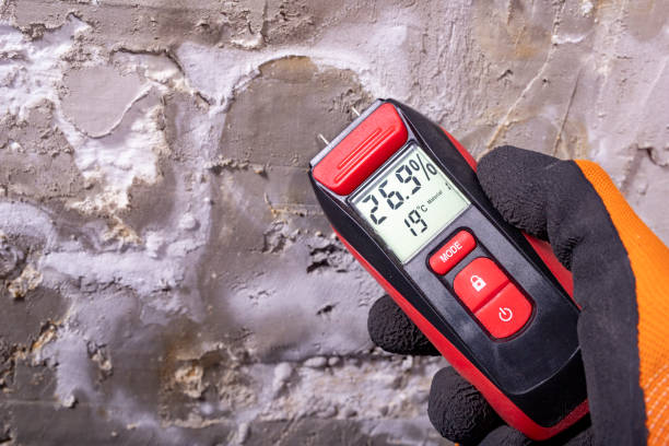 Best Bathroom Mold Remediation in Hackleburg, AL