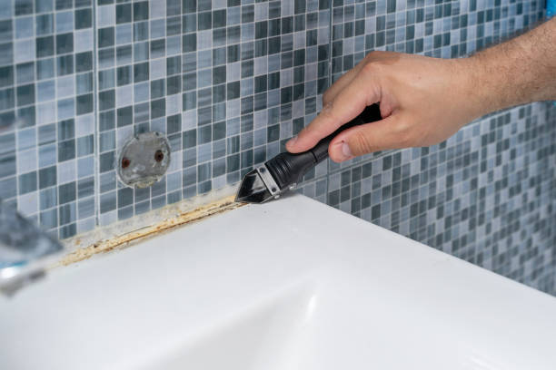 Best Localized Mold Remediation (e.g., coastal areas, humid climates) in Hackleburg, AL
