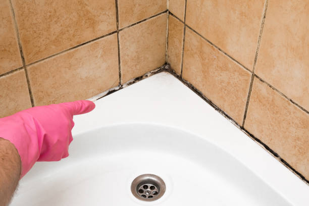 Best HVAC Mold Remediation in Hackleburg, AL